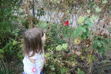 IMG 0491