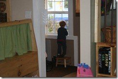 IMG_1010