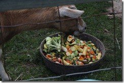 IMG_1651