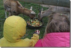 IMG_1657