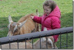 IMG_1660