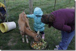 IMG_1662