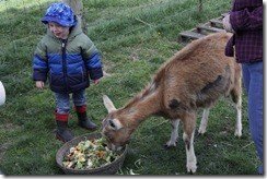 IMG_1665