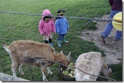 IMG_1676