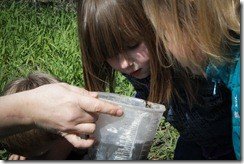 IMG_1880