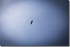 IMG_1912