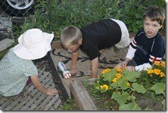 _MG_4183 _MG_4183