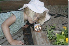 _MG_4187 _MG_4187