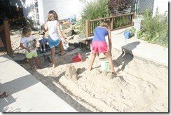 _MG_4195 _MG_4195
