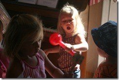 IMG_7345
