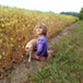 View album View album