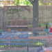 View album View album