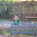 View album View album