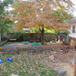 View album View album