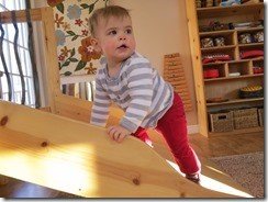 IMG_2541