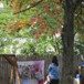 View album View album