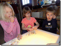 DSCN0105 DSCN0105