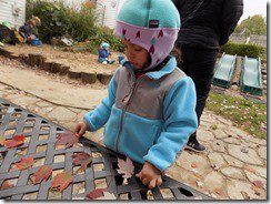 DSCN8797