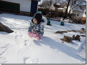 DSCN5693 DSCN5693