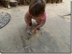 DSCN6177