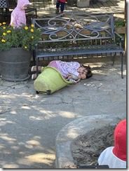 IMG_7130(1)