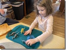 IMG_2367(1)