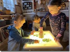 IMG_3054(1)