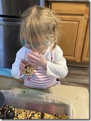 IMG_5175