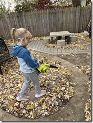 IMG_0531