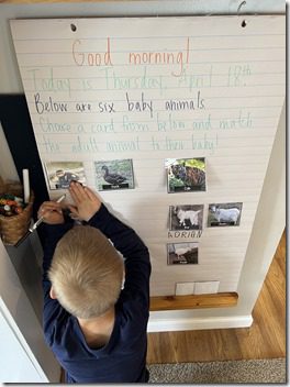 IMG_0714(2)