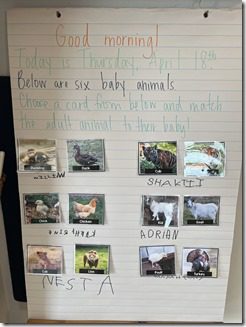 IMG_0726(4)