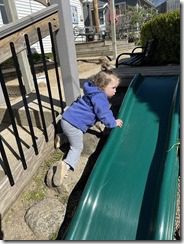 IMG_4632(2)