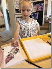 IMG_5954(3)