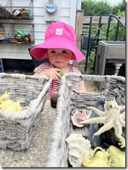 IMG_9268(3)