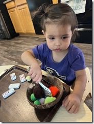 IMG_0783(3)
