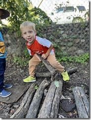 IMG_2887 IMG_2887