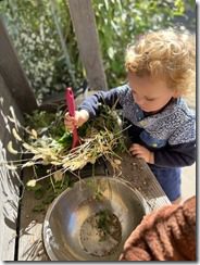 IMG_3640(5)