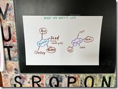 IMG_7931(6) IMG_7931(6)