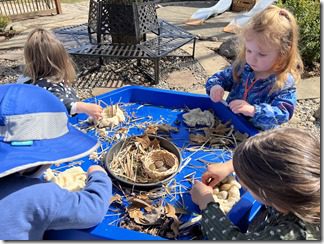 IMG_8592