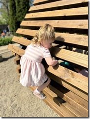 IMG_9162