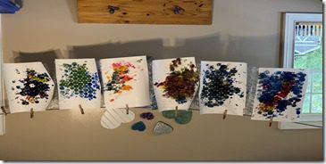 IMG_6488(4)