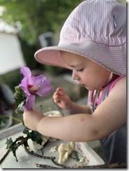 IMG_6380