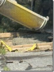 IMG_7590(4)