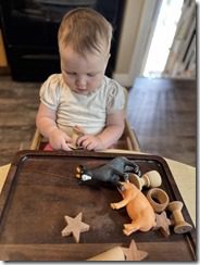 IMG_7635(4)