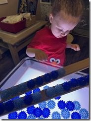 IMG_8050