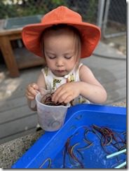 IMG_8339(2)