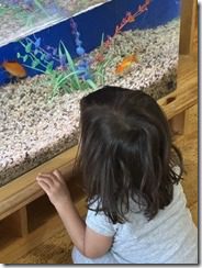 IMG_8363(2)