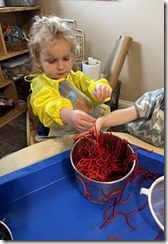 IMG_8660(4)