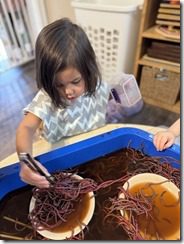 IMG_8752(2)