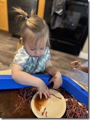 IMG_8753(4)